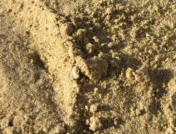 Песок, как основной элемент для приготовления бетона